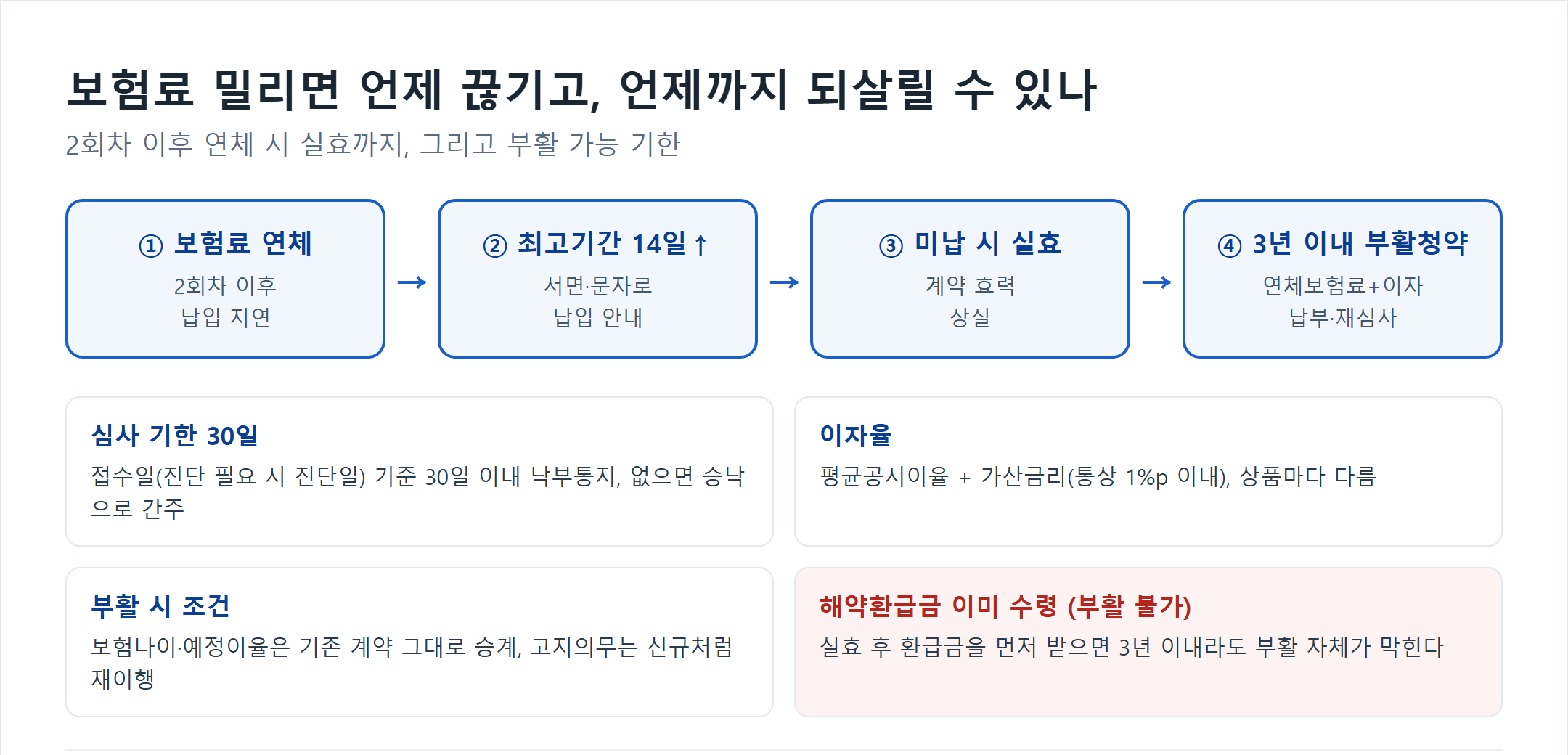 보험 실효 부활 절차 흐름도 - 보험료 연체 후 최고기간 14일 이상 지나 미납 시 실효되며 실효 후 3년 이내 연체보험료와 이자를 내고 부활청약하면 되살릴 수 있다. 심사는 접수일로부터 30일 이내, 해약환급금을 이미 받았다면 부활 불가