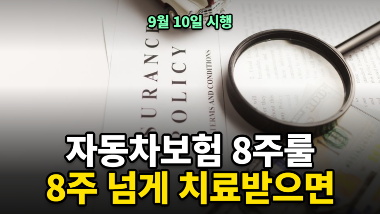 자동차보험 8주룰 9월 10일 시행 2026 — 교통사고 8주 넘게 치료받으면 생기는 일
