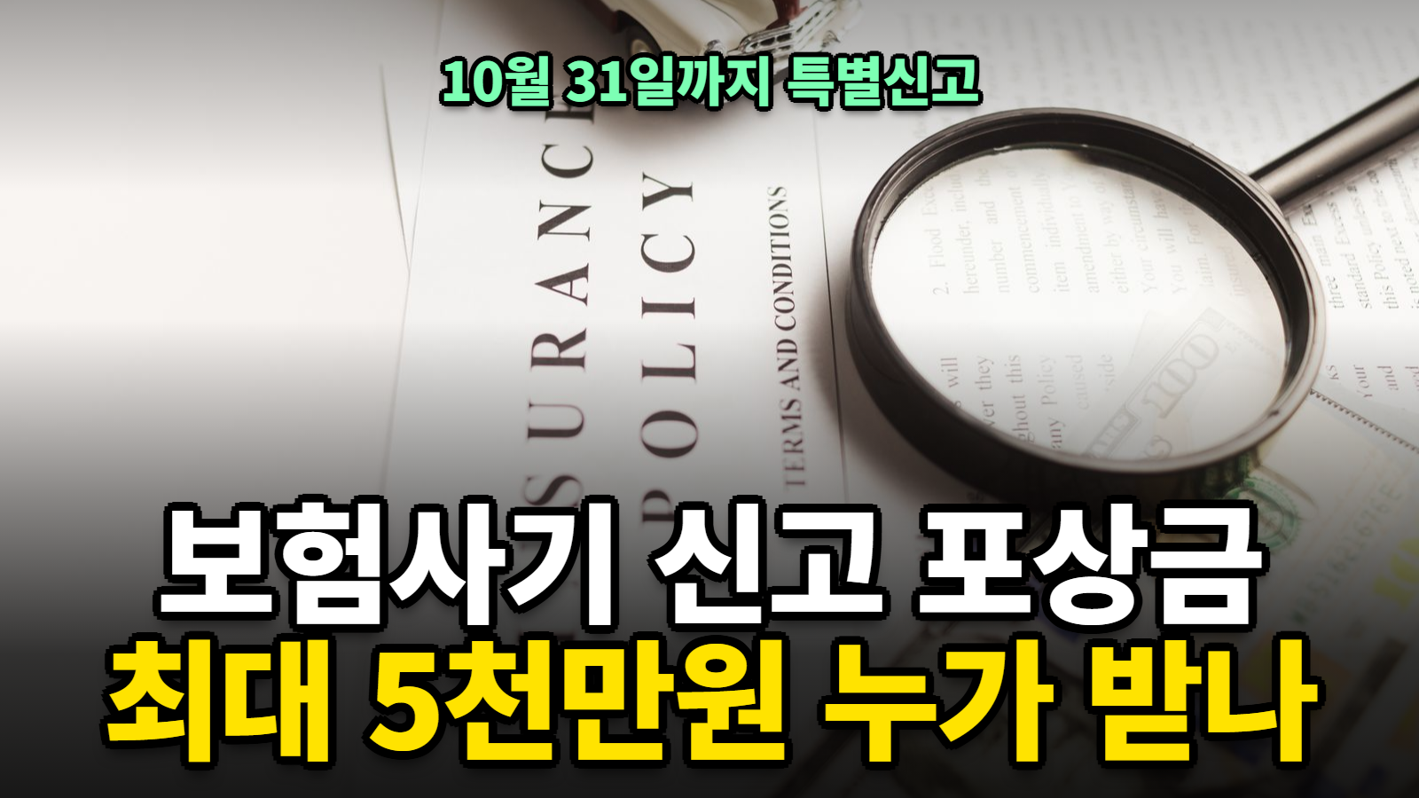 보험사기 신고 포상금 최대 5천만원 특별신고기간