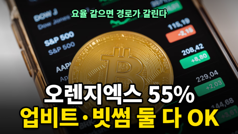 오렌지엑스 페이백 55%