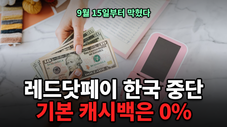 레드닷페이 카드 한국 신규발급 중단