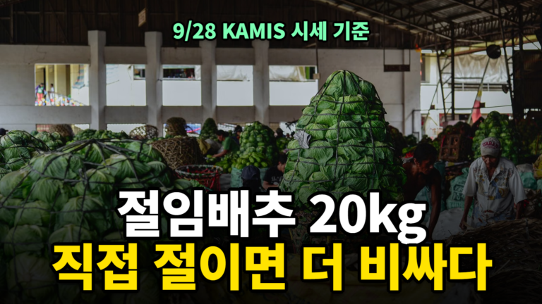 절임배추 20kg 가격 직접 절이기 비용 비교