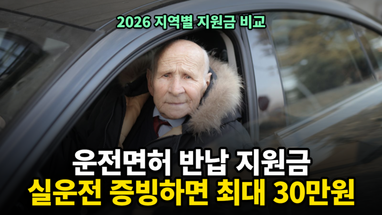 운전면허 반납 지원금 썸네일