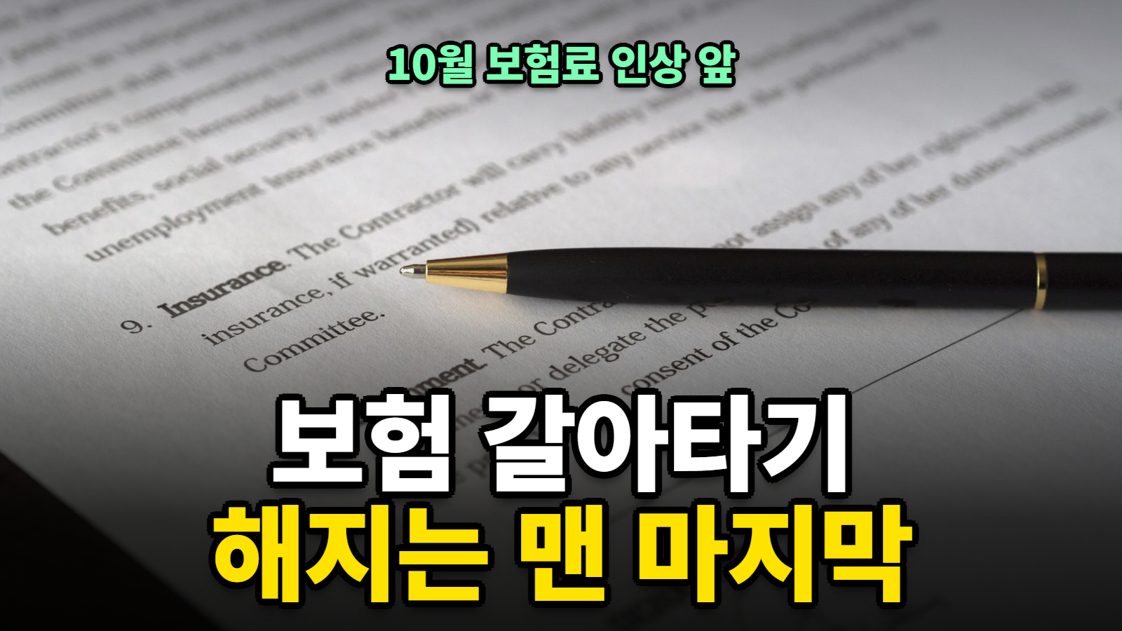 보험 갈아타기 손해, 10월 보험료 인상 전 체크