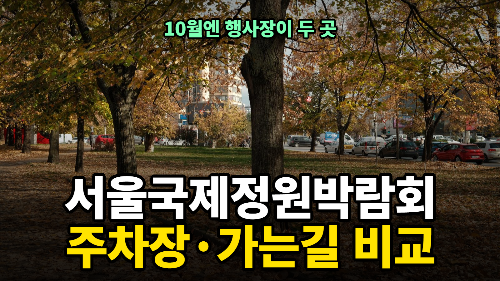 서울국제정원박람회 주차장·가는길 비교 썸네일